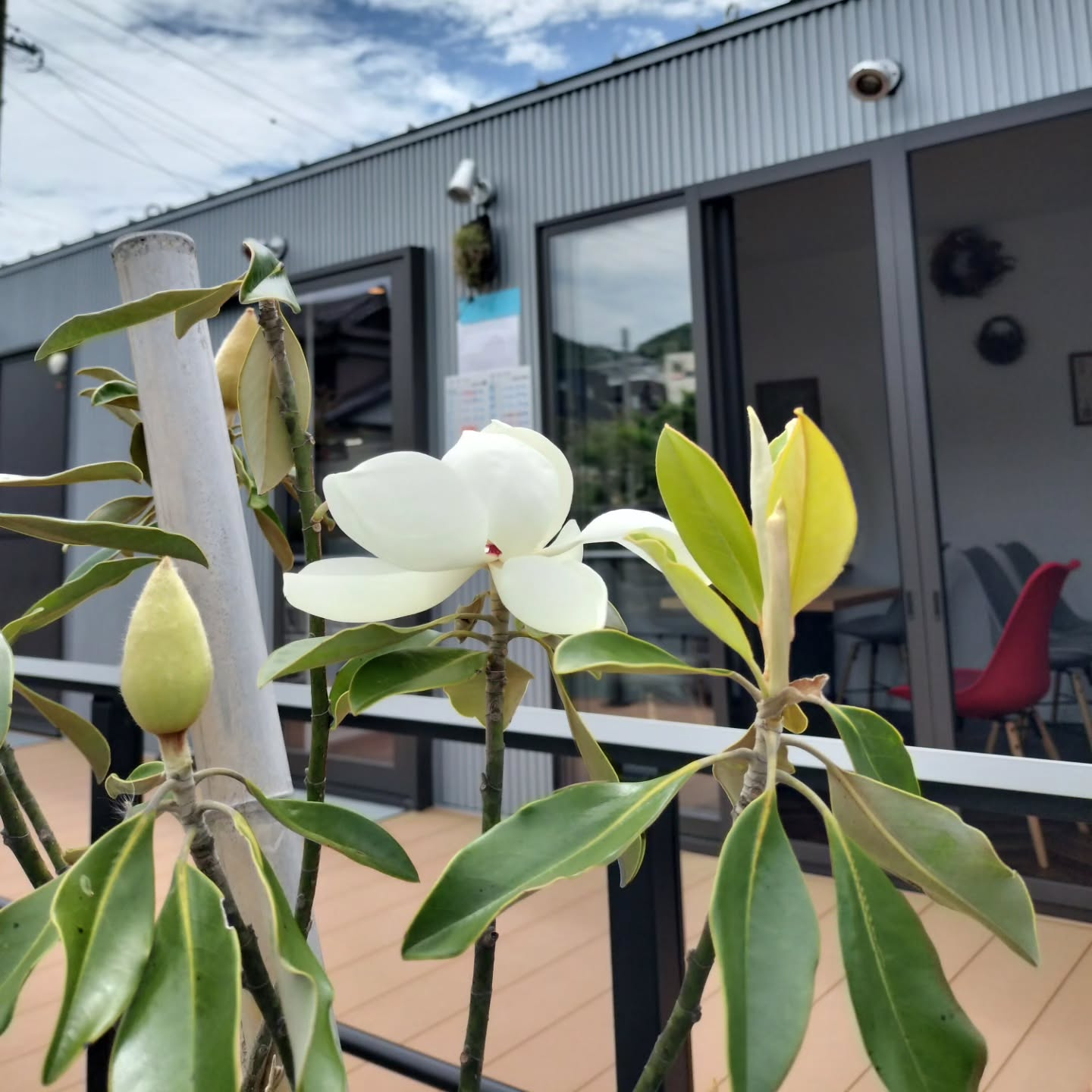 昨日は雨でしたが、今日は良く晴れましたね☺